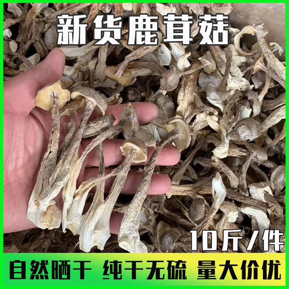 5кг коробка юньнаньских специализированных сухих продуктов, суп, съедобные грибы, оптовая продажа новых товаров, безсульфатные грибы оленя, целая коробка горных деликатесов