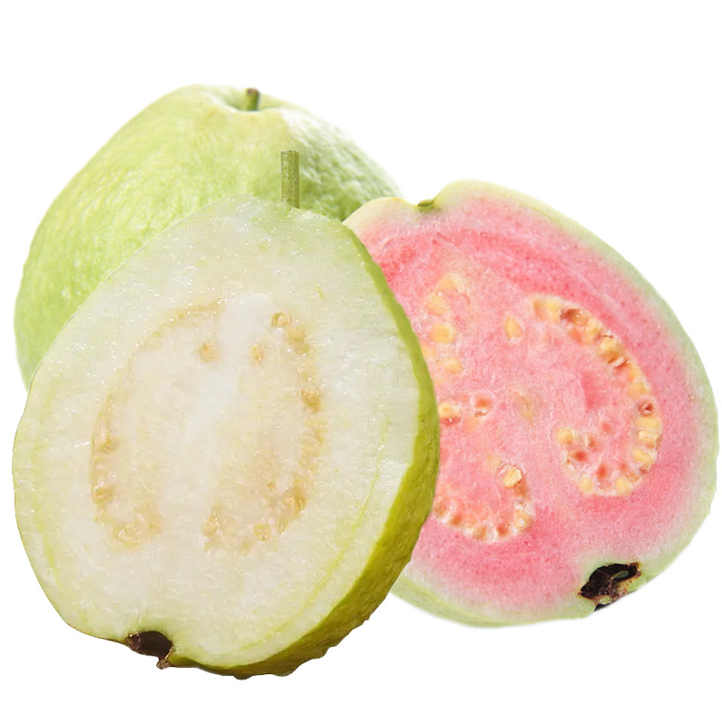 Red and White Guava Fresh Fruit, Crisp, Sweet and Refreshing Combination, Freshly Picked Guava, Seasonal Whole Box, Free Shipping