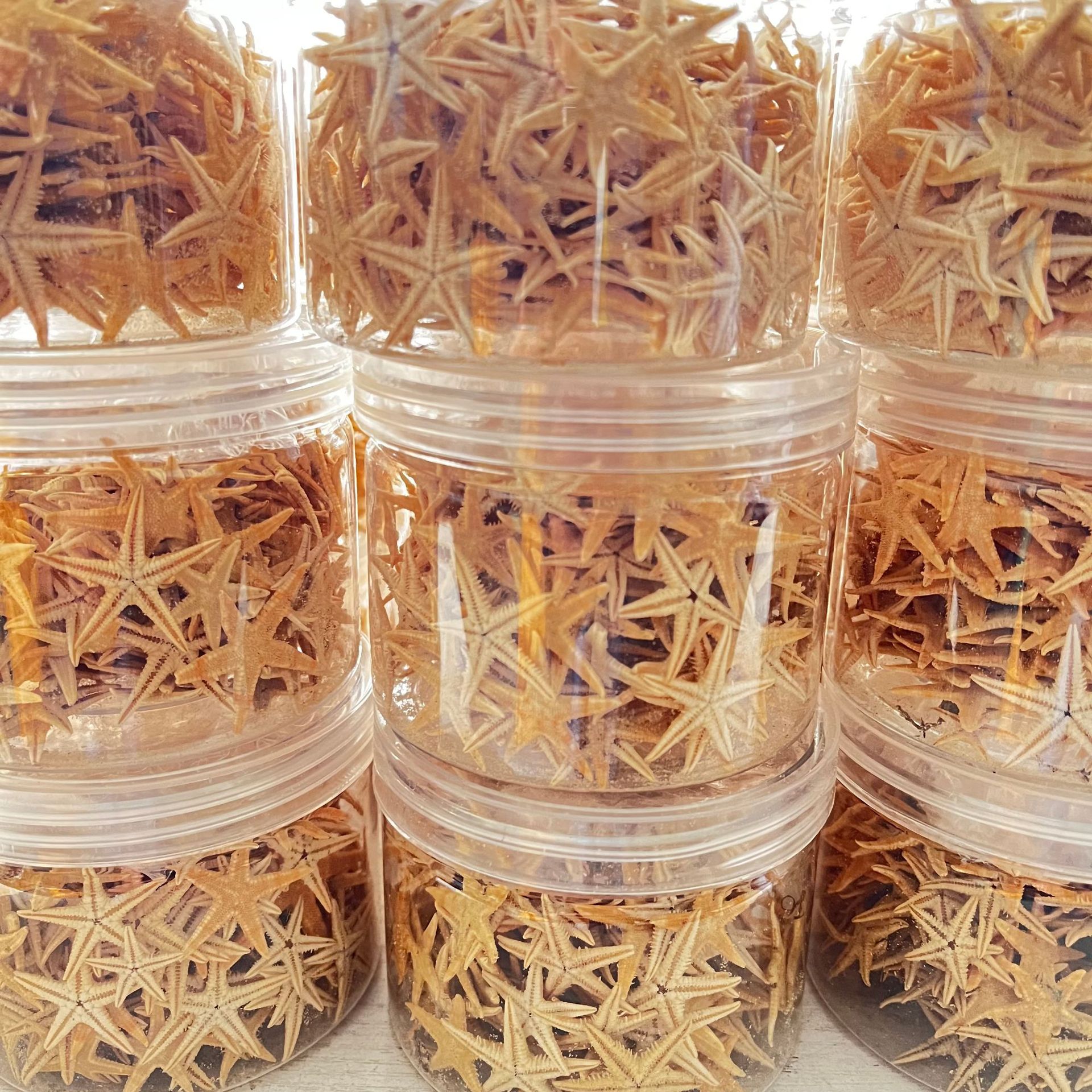 Study Natural Starfish Shell Conch Decoration Shell Conch Wholesale DIY Starfish Crafts