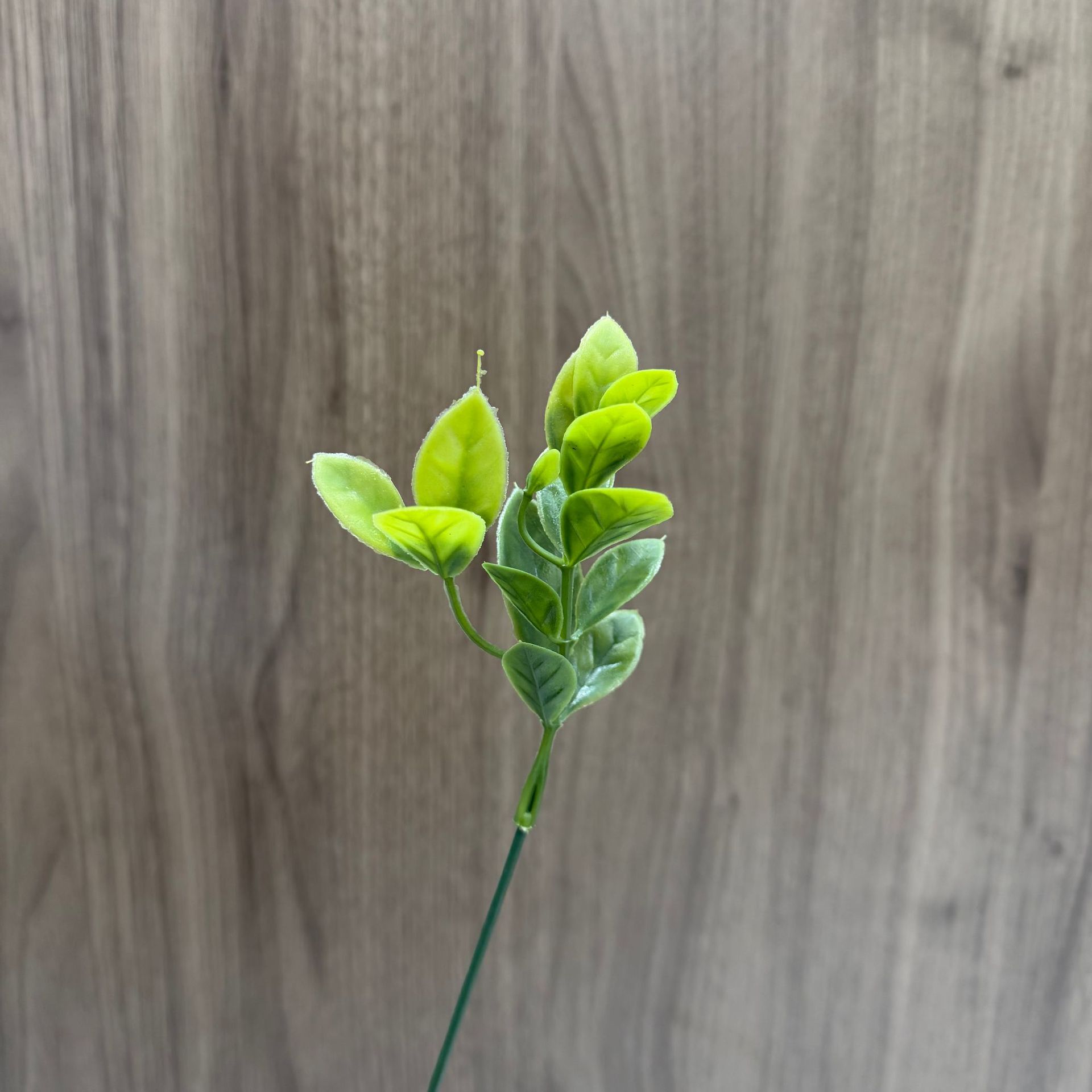 Новые имитационные водные растения оптом, различные стили имитационных зеленых растений, аксессуары, материалы, имитационные растения для домашнего стола