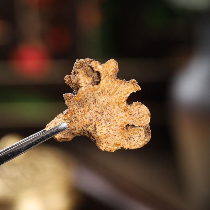 Genuine Chinese Medicinal Herbs of Gentian and Atractylodes, the Benefits of Brewing Tea with Gentian and Atractylodes and Drinking the Water