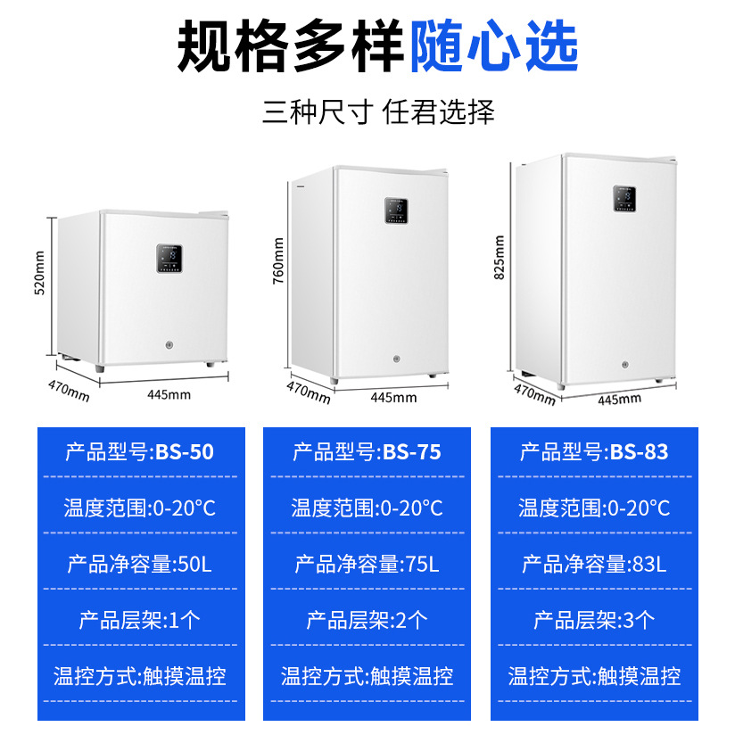 Medicine Refrigerator Mini Lockable Refrigerator Refrigerator Mask Skin Care Products Beauty Mother and Baby Beverage Refrigerator Manufacturer