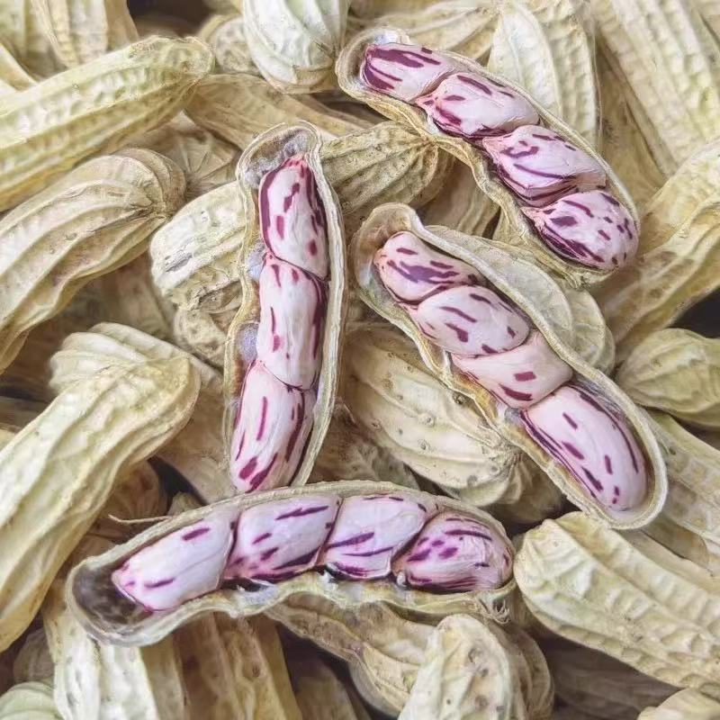 Yunnan Sun Dried Original Flavor Shell Raw and Ripe Color Milk Peanut Colorful Peanut Nut Snacks Dried Special Product