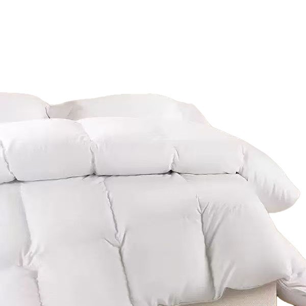 Sam's Club Same Style White Feather Velvet Spring, Autumn, Winter Quilt Gift Feather Velvet Quilt Winter Quilt