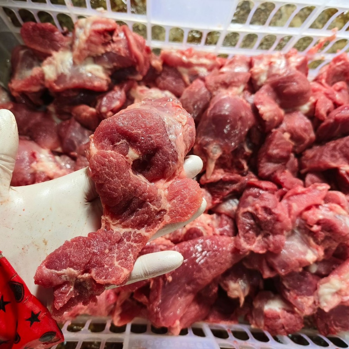 Slaughterhouse Direct Sales of Pig Lean Meat 2 Fat 8 Lean Pig Head Paste Stuffed Sausage Breakfast Dumplings Meat Stuffed Fresh Frozen Pork