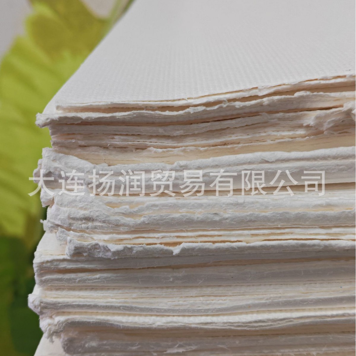 Hard Wood Pulp, Wide Leaf Pulp, Eucalyptus Wood Pulp, Pulp Fiber, Good Whole Capsuless, High Capsuless, Strong Capsuless, Short Fiber