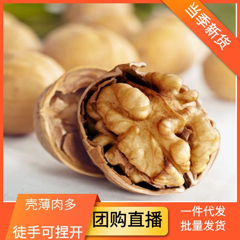 New Xinjiang Paper-Skinned Walnuts Wholesale Aksu Raw Walnuts 185 Walnuts Xinjiang Specialty Original Thin-Skinned Walnuts