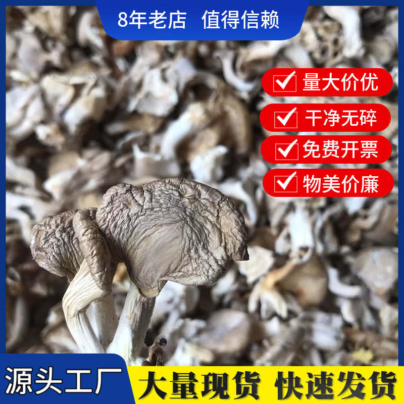 Прямые поставки оригинальных новых продуктов сушеный гриб вешенка оптом грибы абалон реальный гриб вешенка упаковка для супа