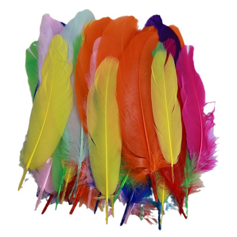 Feather Wholesale Macaron Goose Feathers Kindergarten DIY Colorful Feathers Large Floating Decorative Art Class Materials