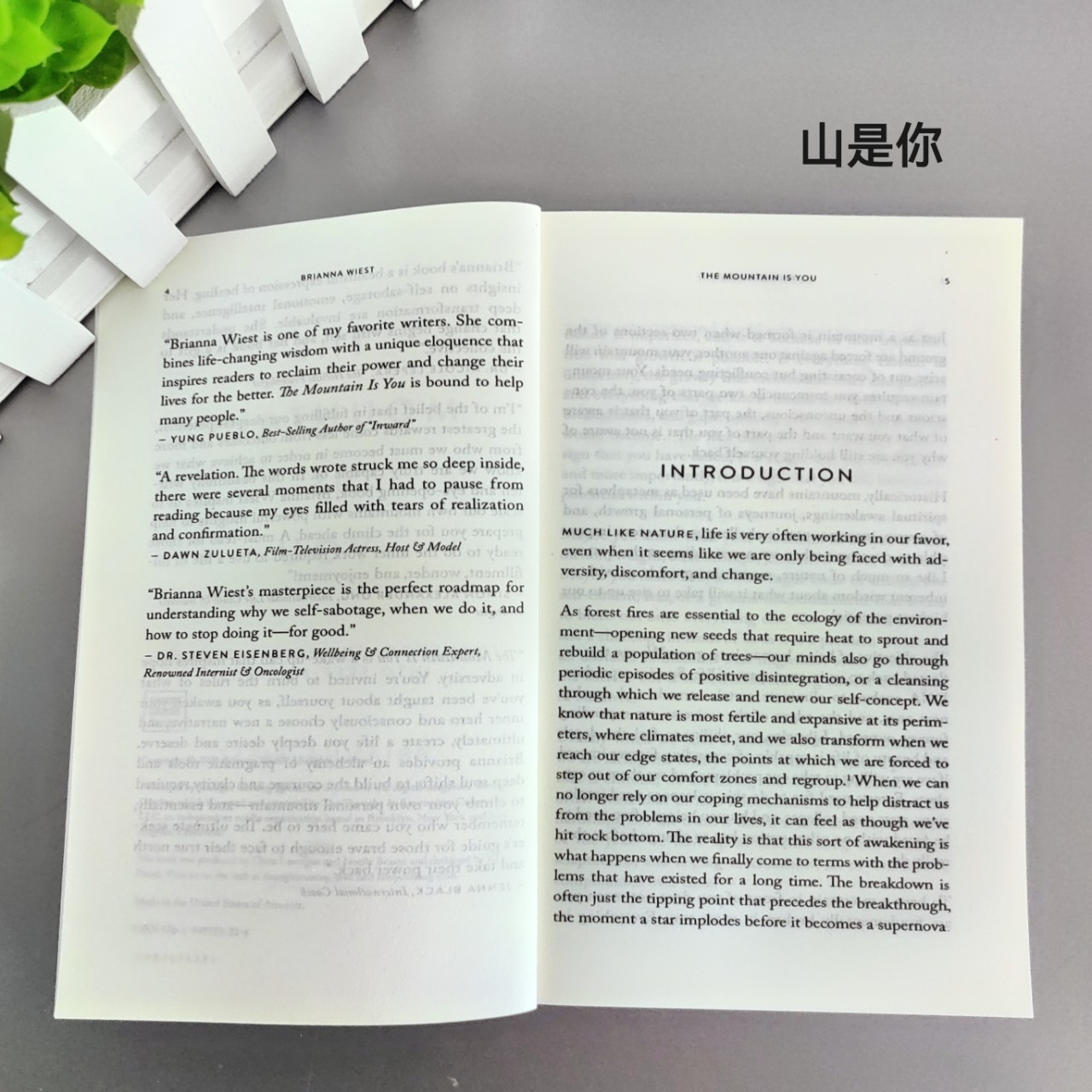 The Mountain Is You the Mountain Is You Self Transformation English Version