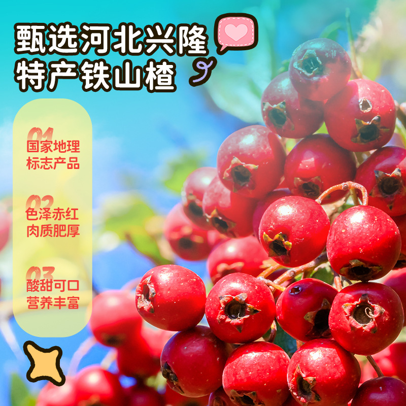 Fawn Blue and Blue Children's Fun Shape Multi-flavor Hawthorn Fruit Stick Dried Mulberry Hawthorn Fruit Dried Without Flavor Pigment