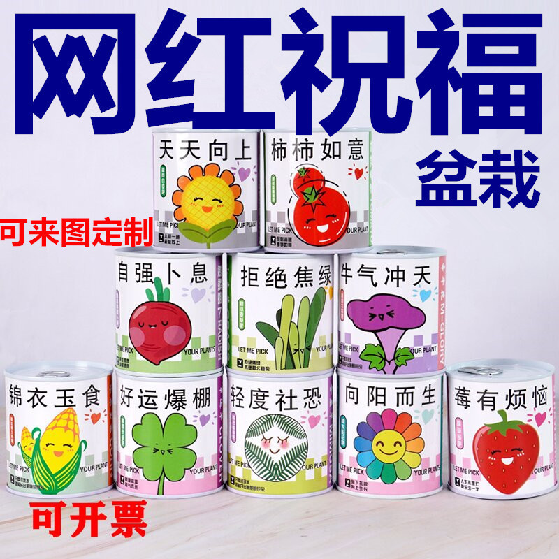 Planting Cans Potted Green Plants Blind Box Kindergarten Kidsren Primary School Students Plant Growth Observation Germination Seeds