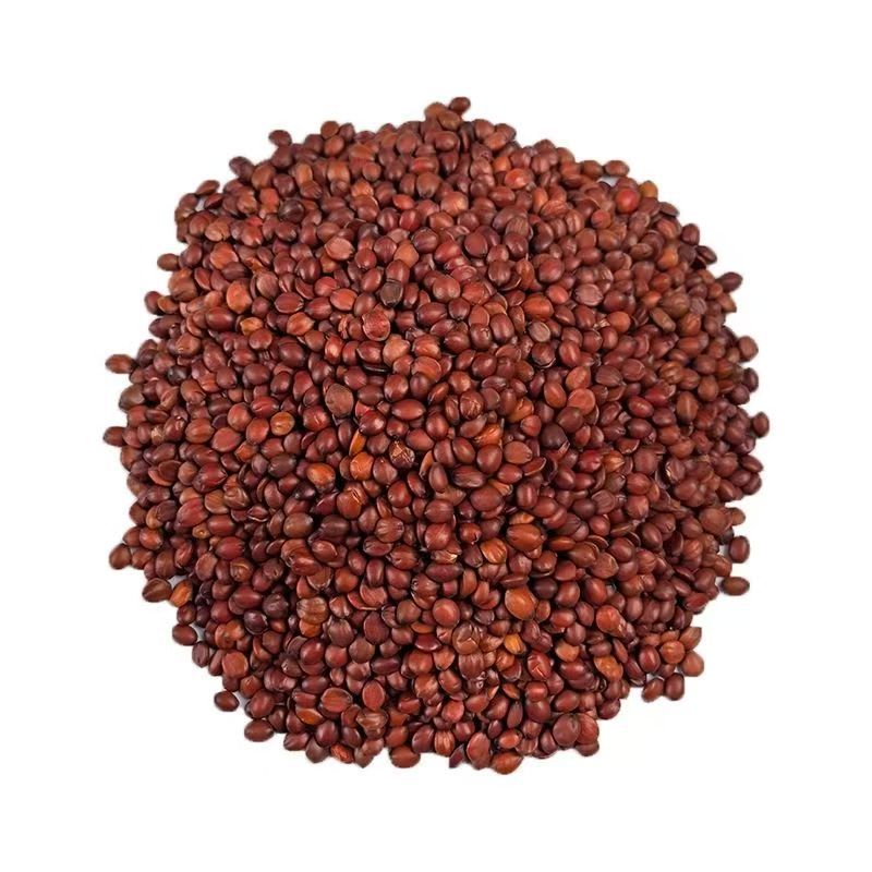 Ziziphus Seed, Not a Traditional Chinese Medicinal Herb, 50G/100G Canned or Bottled Raw Ziziphus Seeds, in Stock for Wholesale and Dropshipping