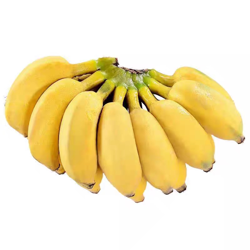 Guangxi Xiaomi Bananas Wholesale Whole Box Plantain Non-Dried Banana Hainan Banana Direct Supply from the Farm Free Shipping Naturally Ripe Fruit