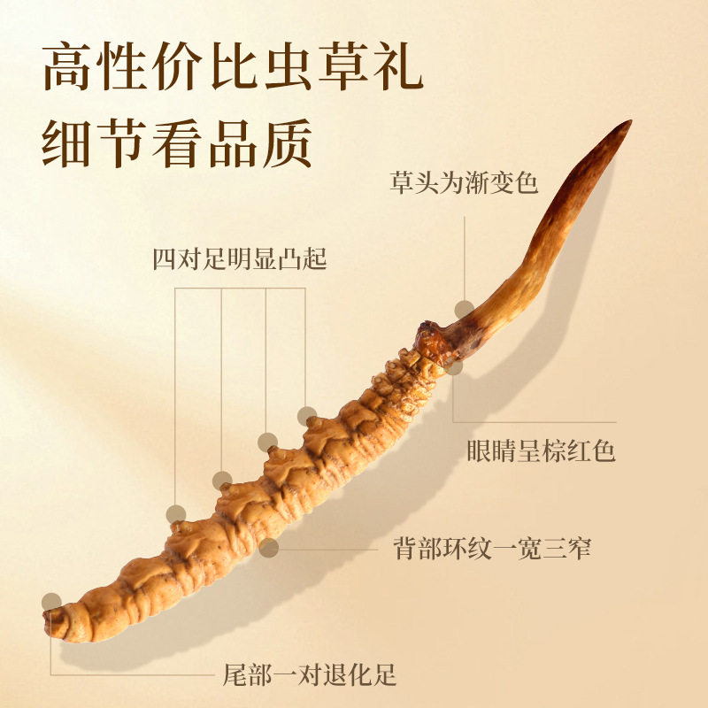 Cordyceps Sinensis Gift Box 30 Pieces Wholesale Direct Supply Cordyceps Dried Goods Gift Box Cordyceps Sinensis Xizang Nagqu