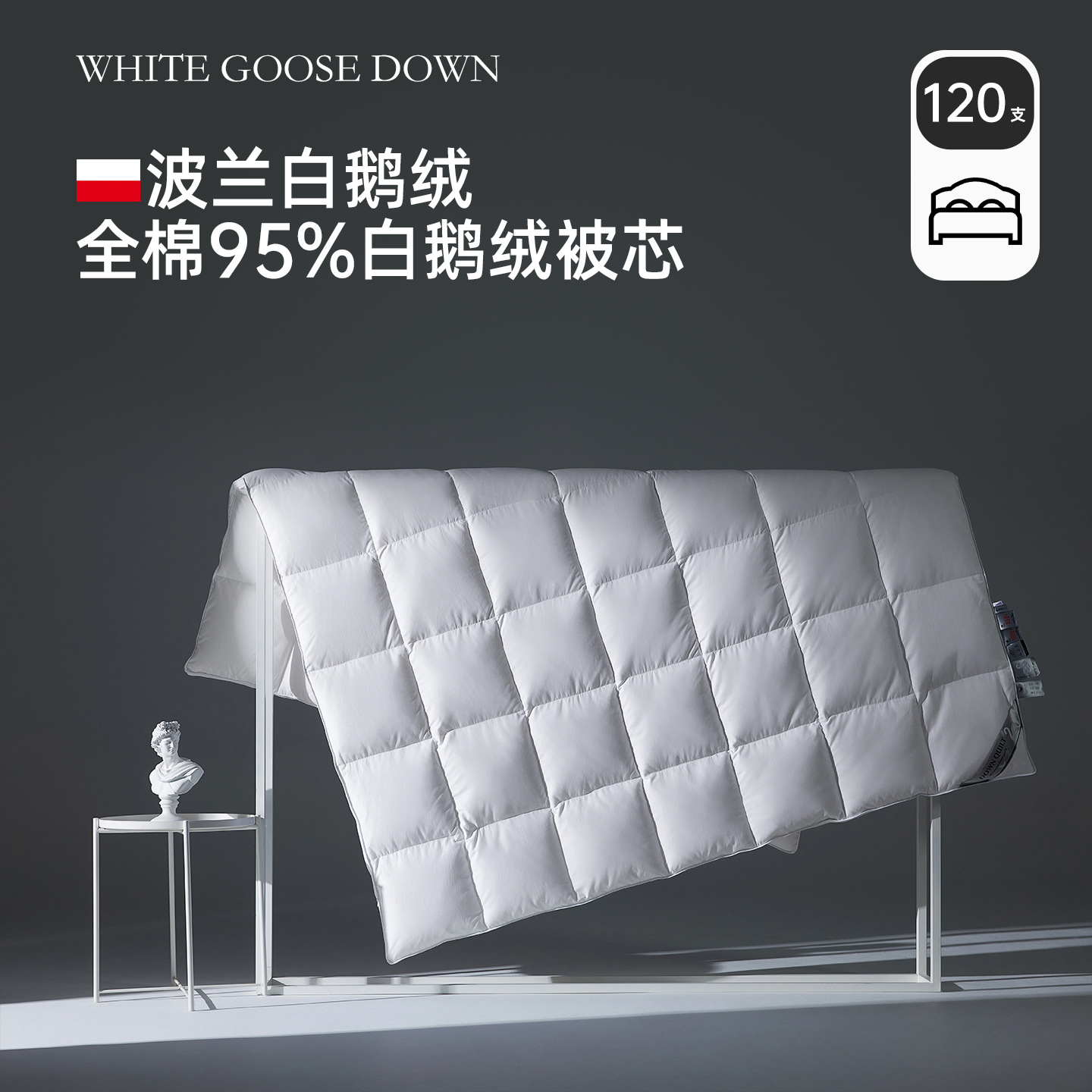120 штук Чистый хлопок Долговолокнистый хлопок 95% Белый гусиный пух Одеяло ядро Весеннее и осеннее одеяло Зимнее одеяло Гостиничное и B&B Четырехсезонное пуховое одеяло Производитель