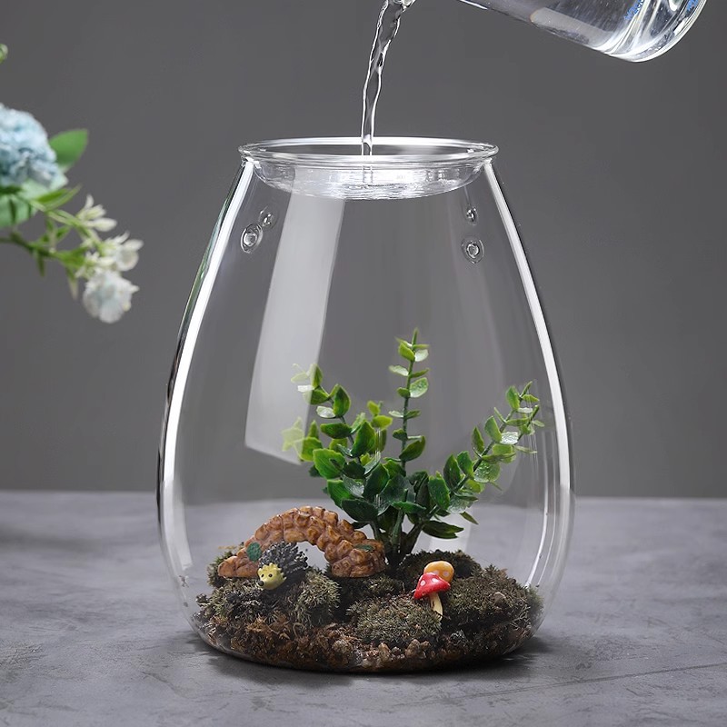 Glass bottle landscape natural tropical mini desk small decoration aquarium Moss ecological bottle