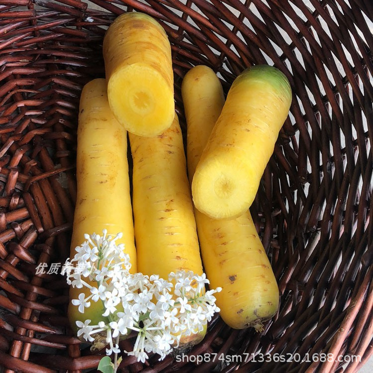 Fresh Yellow Radish and Yellow Carrot, Xinjiang Flavor, Farm-Made, 50kg Pieces, Free Shipping