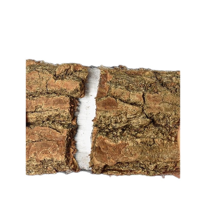 Fresh and Authentic Eucommia Bark, Genuine Dried Eucommia Bark, Peeled from Old Trees, Wild Old Tree Ingredients, Suitable for Making Tea or Soaking in Wine