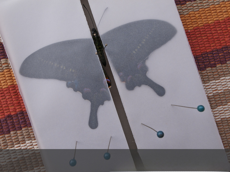 V-shaped butterfly fin plate insect specimen making tool specimen collection experimental equipment recommend