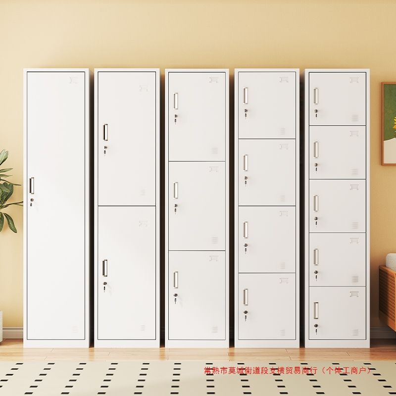 Single-Door Locker, Iron Cabinet, Employee Cabinet, Locker with Lock, Barber Shop Bag Storage Cabinet, Coffee Shop Storage Cabinet, Steel