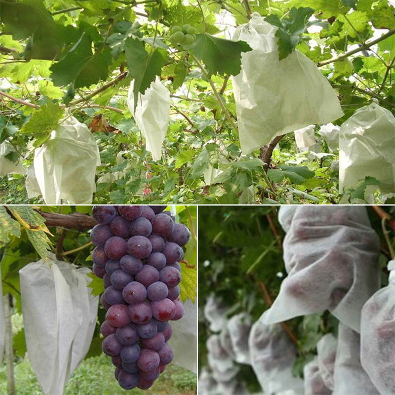 Open-air Tie-silk Non-woven Grape Bag Pomelo Pear Fruit Protection Bag Insect-proof Bird-proof Rain-proof Fruit Cover