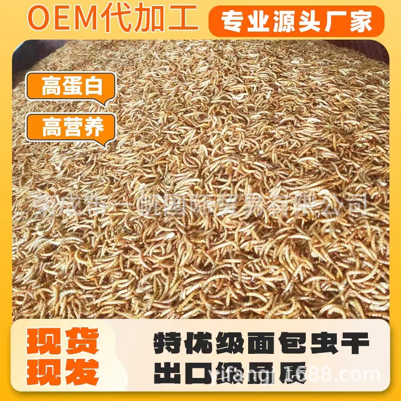 Supply export-grade microwave drying bread worm dry support small package quality stable yellow powder worm hamster grain