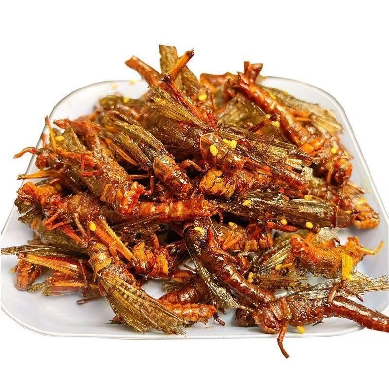 Crispy Grasshopper Fried Ready-To-Eat Edible Insect Barbecue Pepper Salt Dry Fried Grasshopper Snack Snack Gourmet Insect Gourmet