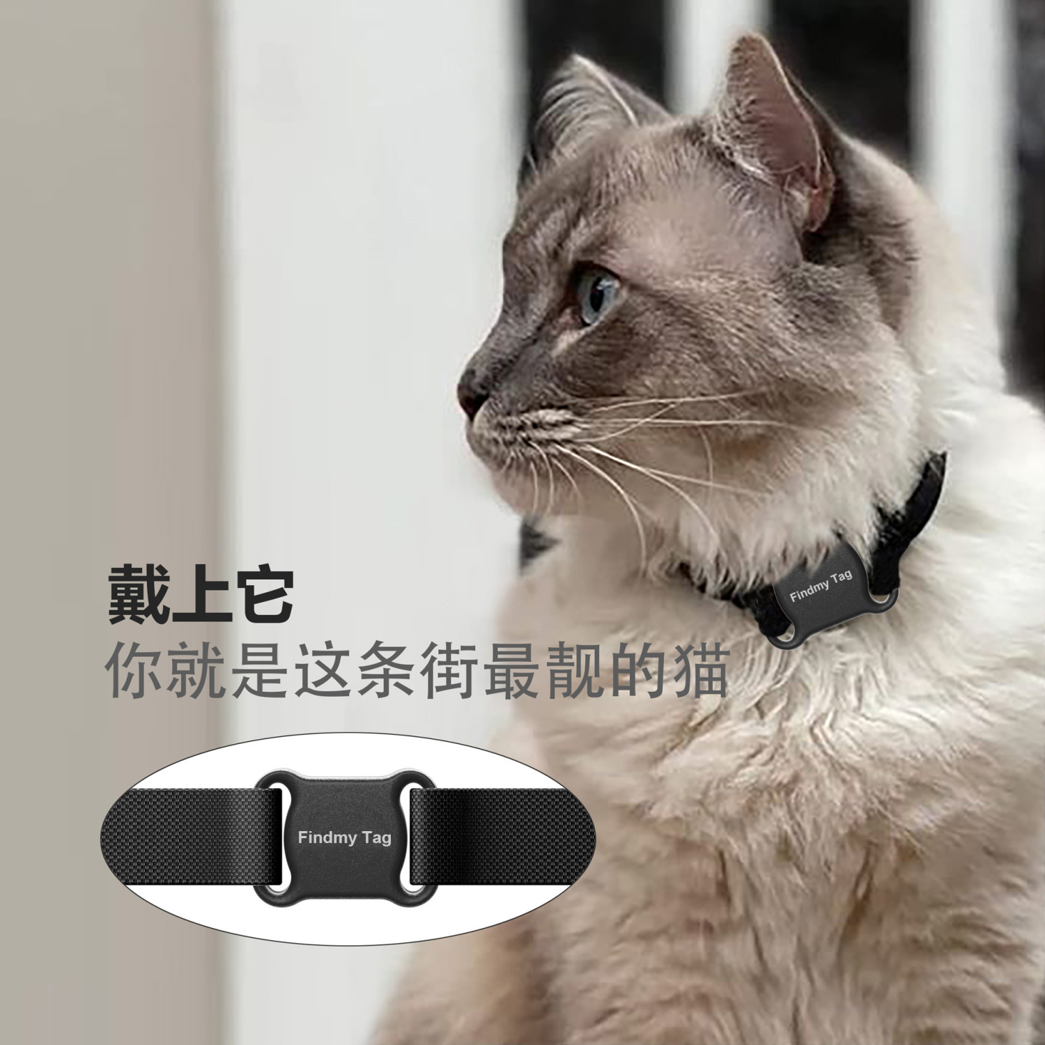 Cross-Border Hot Selling Smart Pet Locator Ios Android Universal Gps Tracking Positioning Anti-Lost Locator