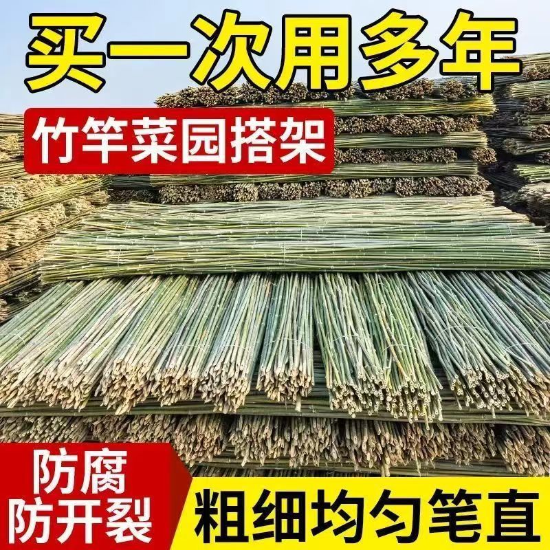 Bamboo Pole Vegetable Garden Trellis Bean Trellis Cucumber Trellis Climbing Trellis Flagpole Bamboo Pole Bamboo Climbing Support Small Bamboo Pole Wholesale