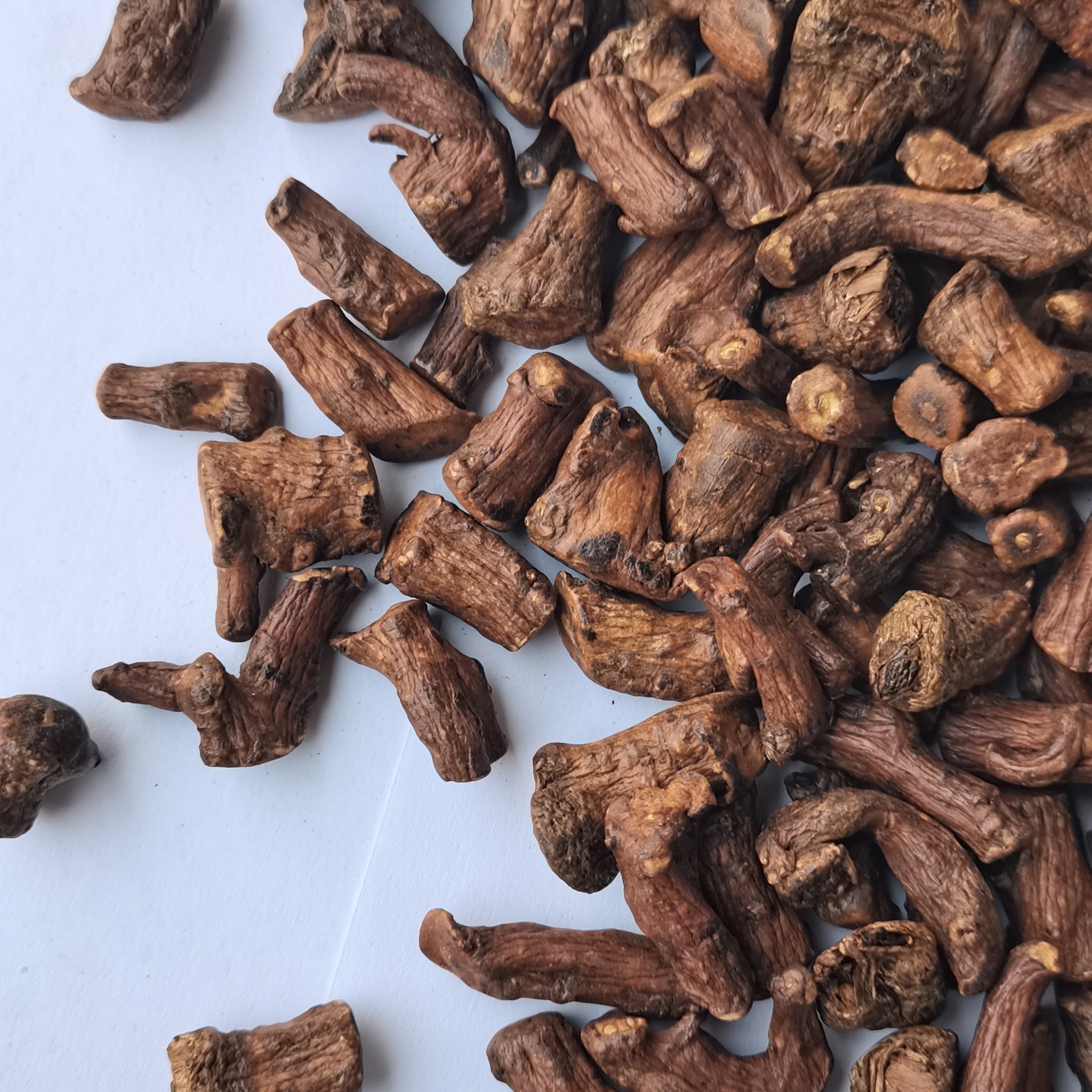 Dandelion root tea new wholesale Changbai mountain mother-in-law tea dandelion root tea fragrant bubble-resistant