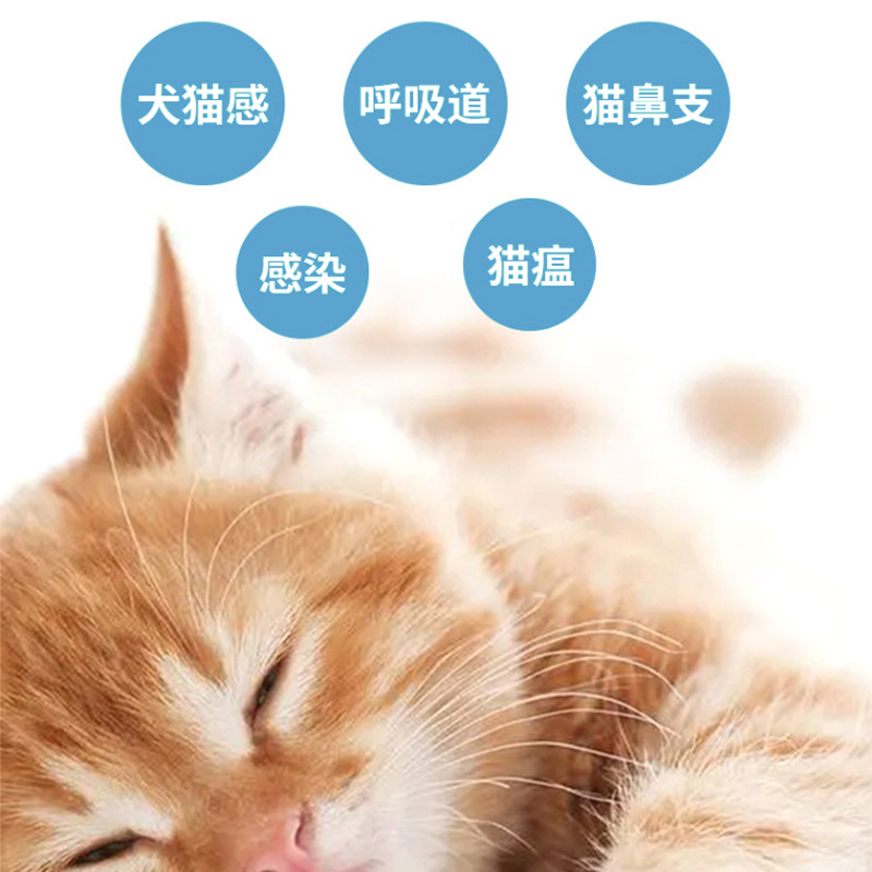 Pet Dogs and Cats Cold Medicine, Cough, Runny Nose, Sneezing, Fever, Special Double Yellow Tablets for Young Dogs and Cats