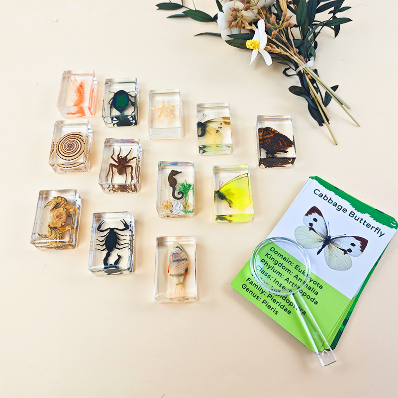 Cross-Border Hot-Selling Wholesale Insect Amber Specimens Resin Crafts Children's Educational Toys Cultural and Creative Gifts Collectible Ornaments