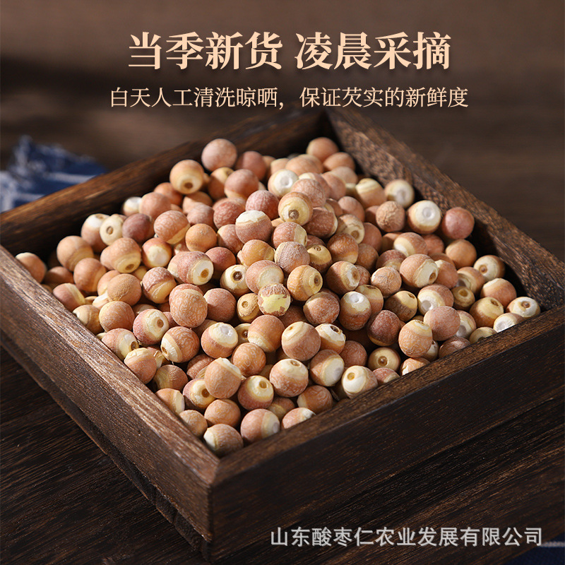 In-Stock Gorgon Fruit Rice Chinese Medicinal Herb Chicken Head Rice Large Granules Gorgon Fresh Dried Goods Farm Special Large Quantity Preferential Gorgon Fruit Rice