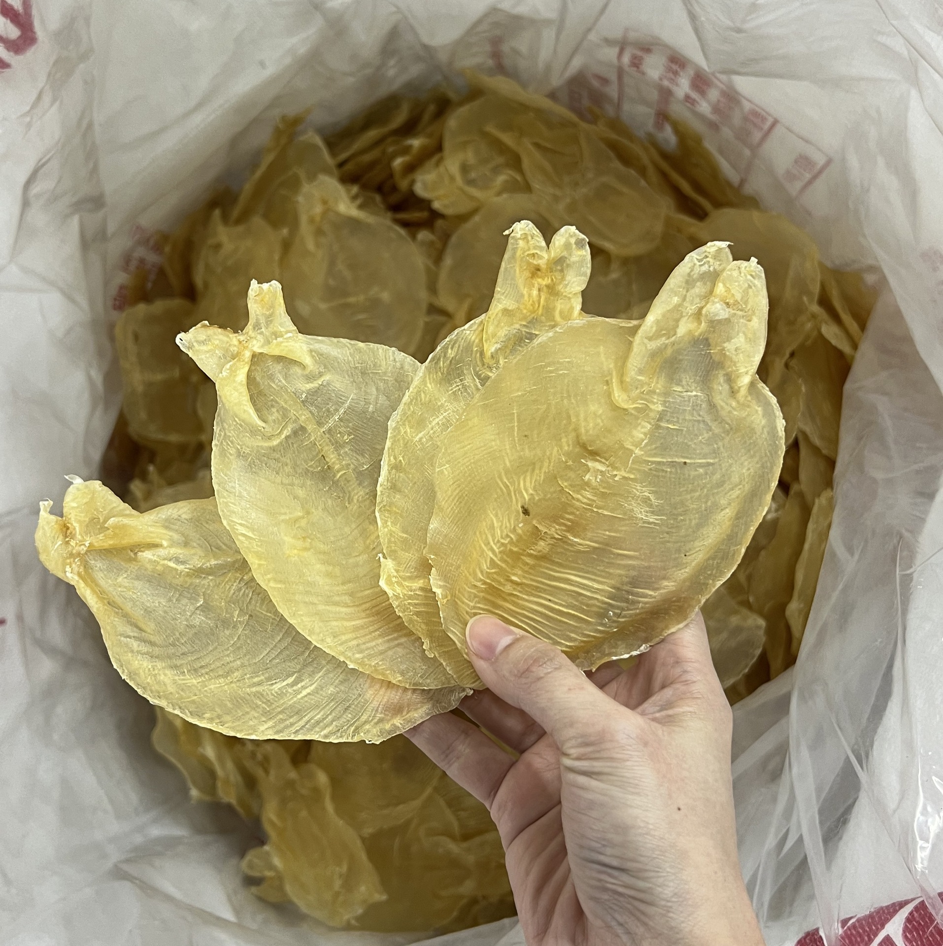 Thick meat nail belly gum fish gum flower gum Yidelu wholesale pregnant women tonic seafood dry goods