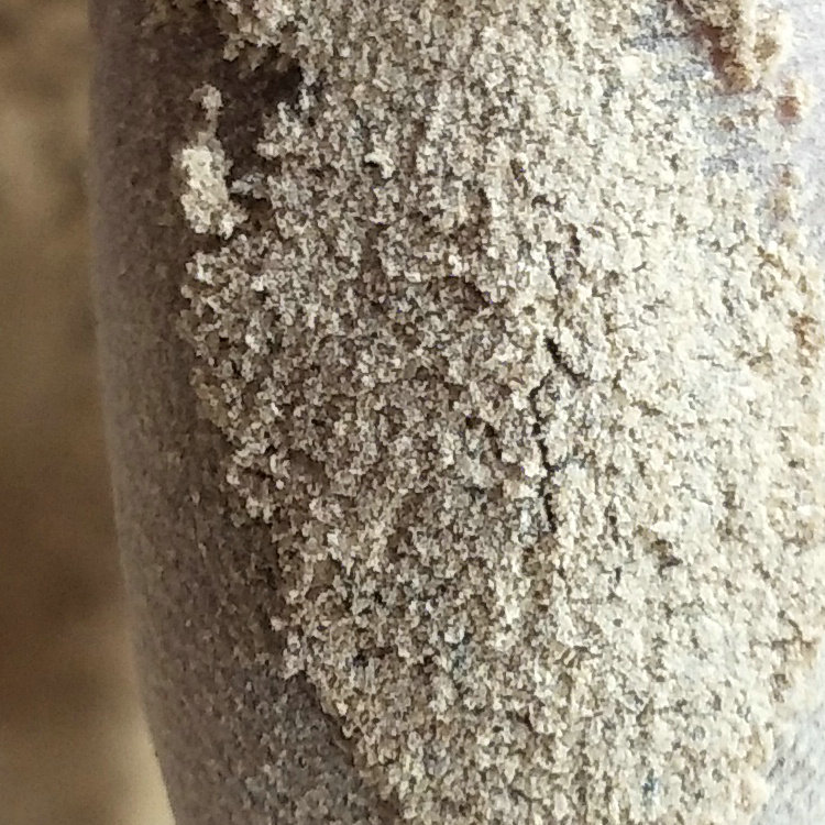 In stock supply wild pine mushroom powder Yunnan wild mushroom powder seasoning Shangri-La wild pine mushroom powder