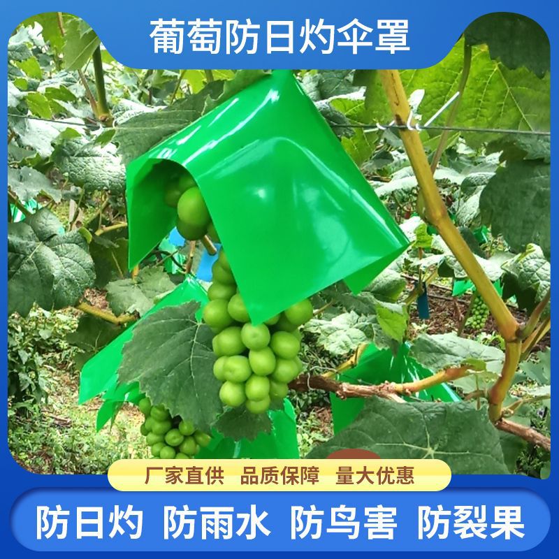 Чехол для винограда зонт специальный мешок защита от солнца шляпа для зонта предотвращение солнечных ожогов защита от дождя предотвращение трещин мешок для фруктов под зонтом