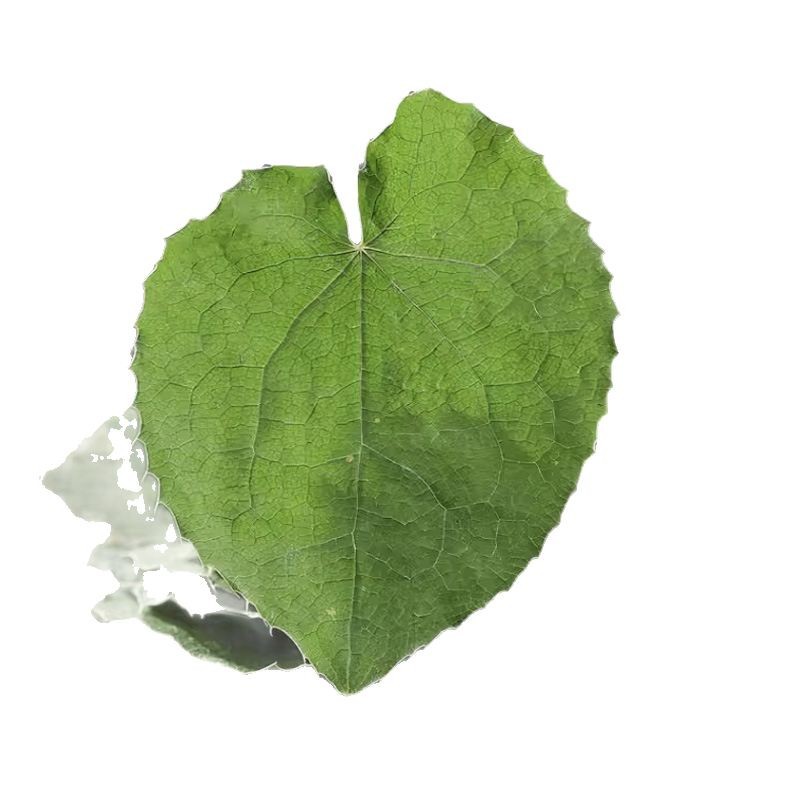 Epimedium Gansu Material Small Leaf Three-Branch Nine-Leaf Grass Wild Desert Muhly Maca Cistanche Deserticola Men's Herbal Tea Good Quality Genuine Product