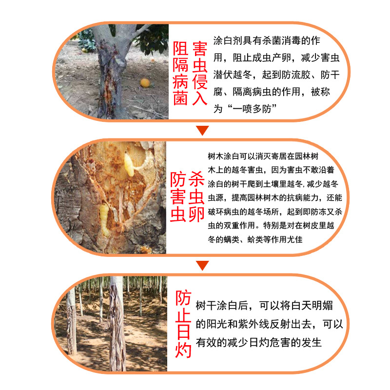 Guoguang Shiqi Tree Trunk Whitening Agent, Whitening Powder, Relic Dry Whitening Paste, Anti-Freeze, Anti-Disease and Insect-Proof, Direct Application Without Dilution
