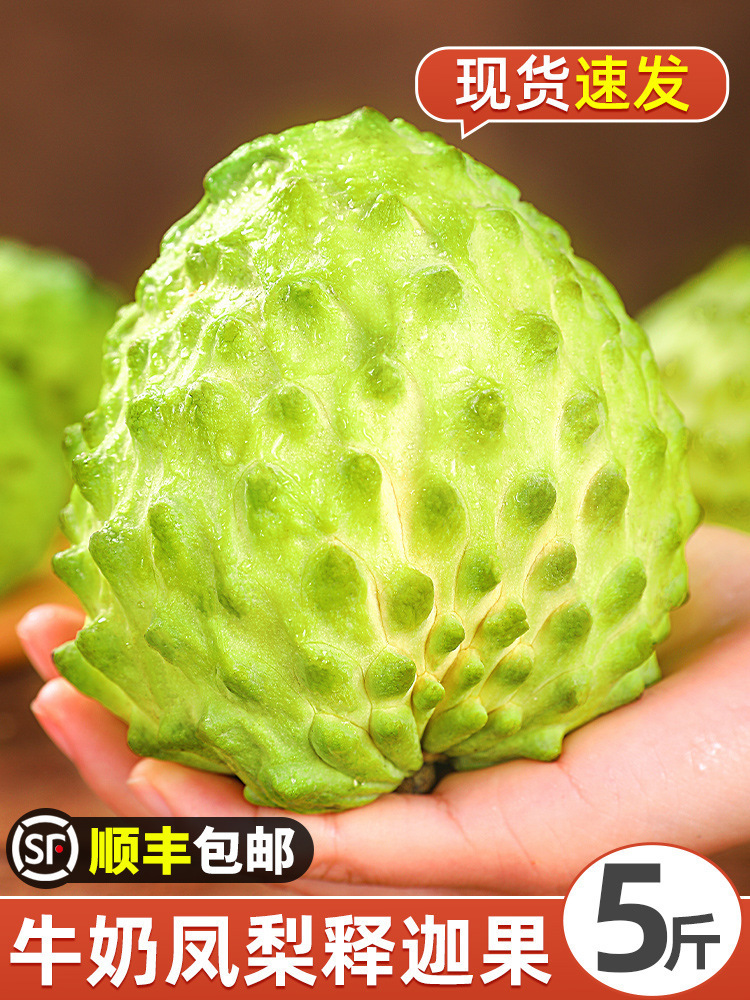 Fresh Sakyamuni Fruit 2.5kg Large Eye Pineapple Milk Buddha Head Fruit Ringo Moni Fruit Seasonal Fruit Sf Express