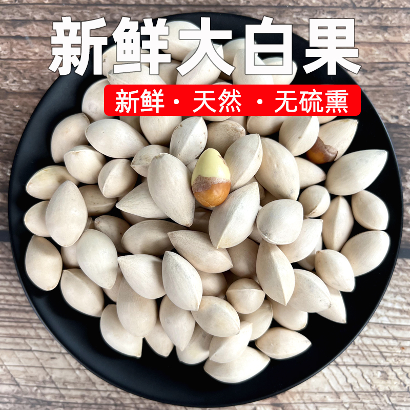 [Quality Large Fruit] 2025 Fresh Large White Ginkgo Nuts Raw Shelled Soup Sugar Water for Japanese Restaurants