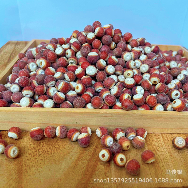 【Kangyuan】Wholesale Natural Gorgon Fruit (Gordonia Pentaphylla) in Sizes 10mm and 12mm, Selected Large-Sized Gorgon Fruit in Various Specifications, Large Quantities Available at Favorable Prices