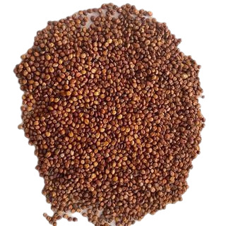 [Wholesale Glutinous Sorghum] 50kg of glutinous sorghum is directly supplied by Glutinous Sorghum Distillery for Wine