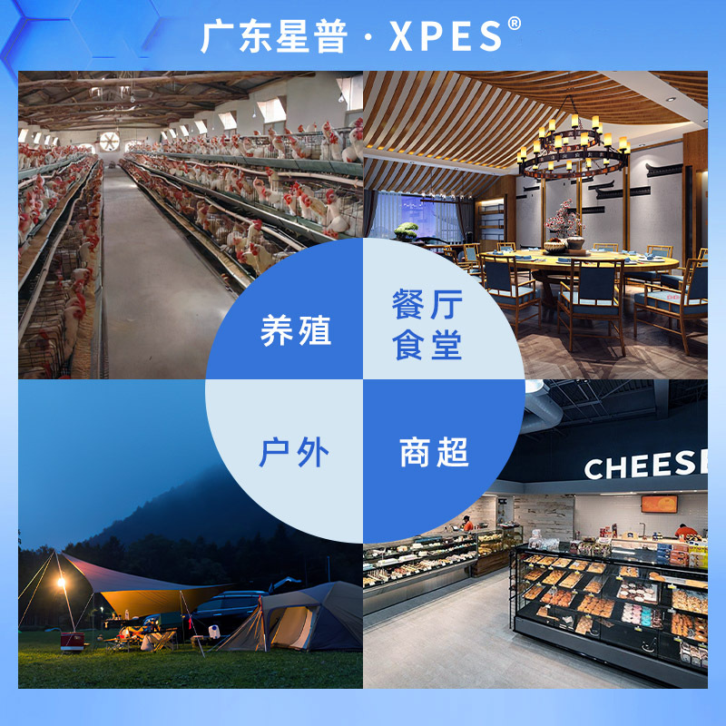 Mosquito Killer Lamp Sticky Catching Processing Restaurant Hotel Shop Fly Killer Lamp Hotel Wall Hanging Fly Mosquito Repellent Customization