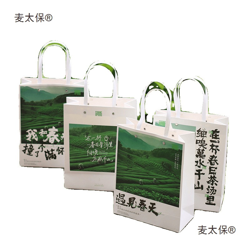 Spring Tea New Handbag Green Tea New Tea Packaging Bag Mingqian Longjing Biluochun Huangshan Maofeng Anji Metabo