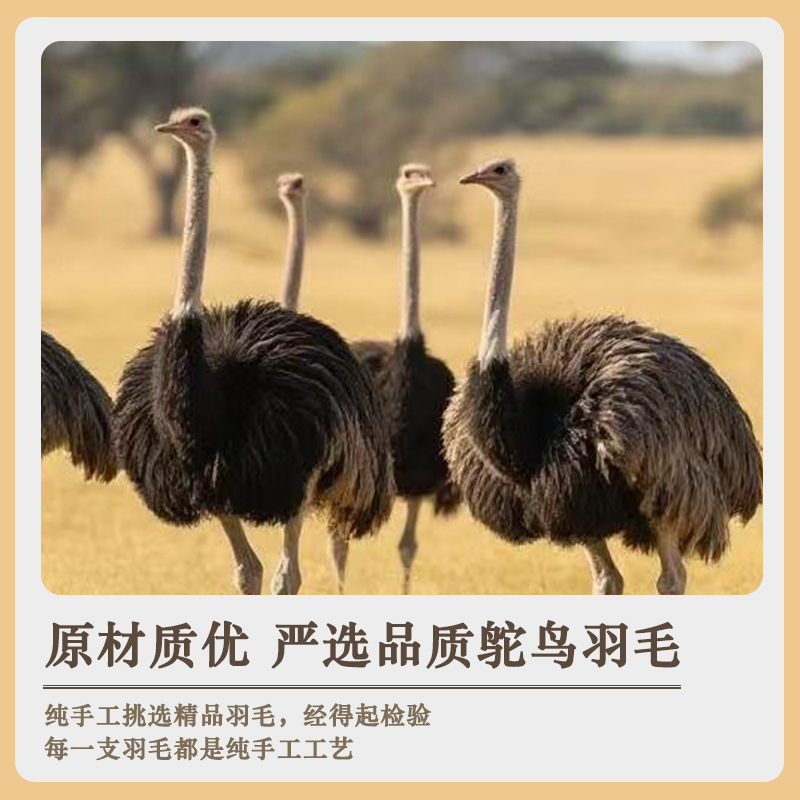 In Stock 7-9cm Ostrich Feather Trim Colorful Ostrich Feathers Dress Performance Accessories DIY Decorative Feather Trim