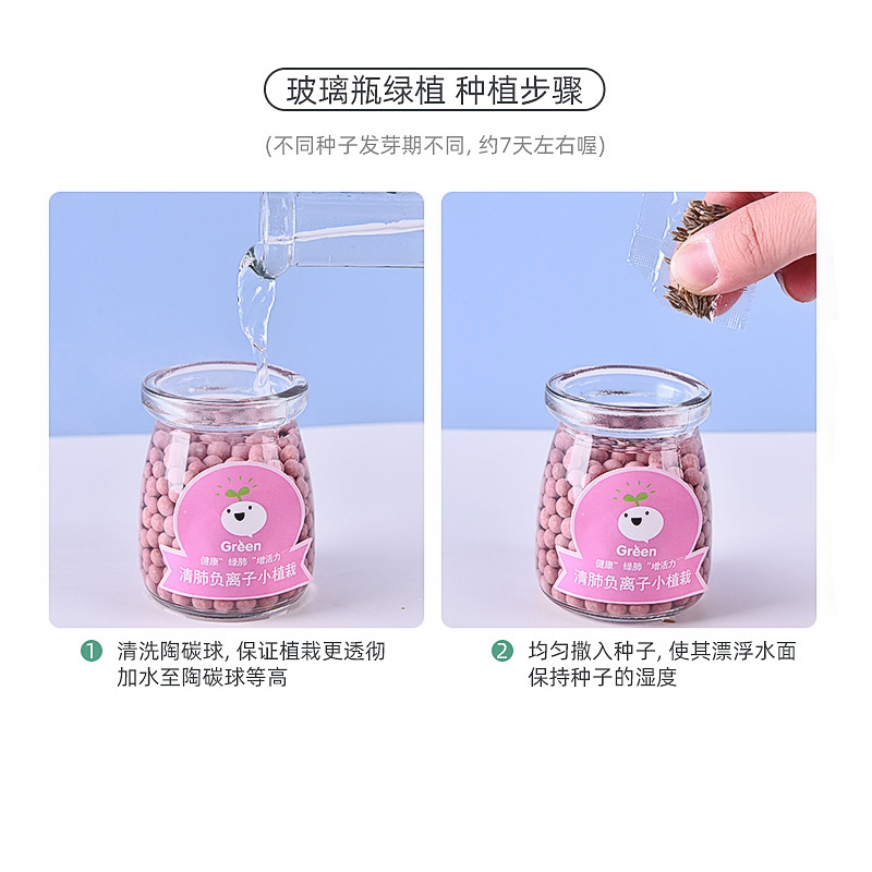 Hydroponic Potted Plants DIY Creative Negative Ion Green Plants Office Desktop Small Bonsai Radiation-Proof Mini Small Plants