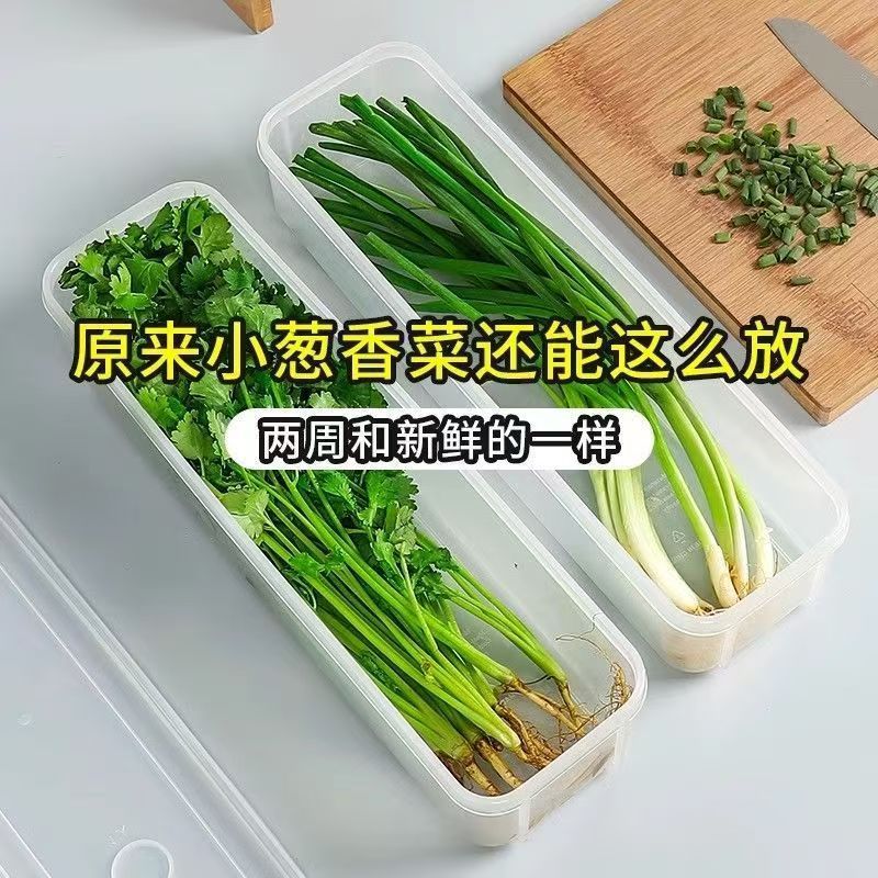 Cilantro, scallion and scallion fresh-keeping box for refrigerator storage fresh-keeping artifact food-grade noodles, egg vegetable, scallion, ginger and garlic