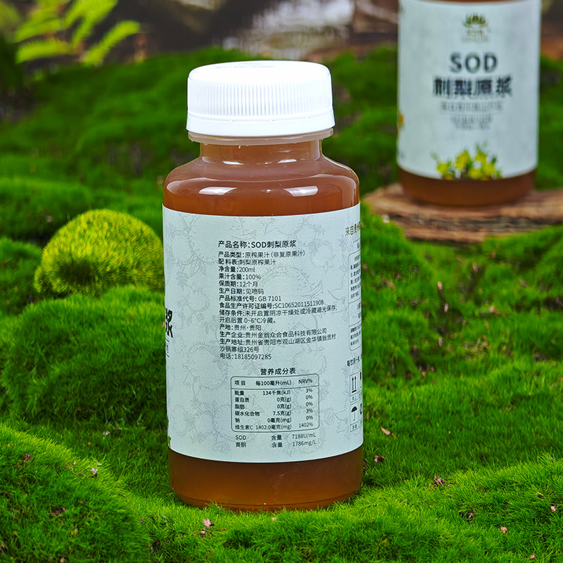 Customized Oem Bottled Prickly Pear Puree, Guizhou Original Juice Liquid, Small Single Private Label 200ml Pp Bottle, Original Flavor