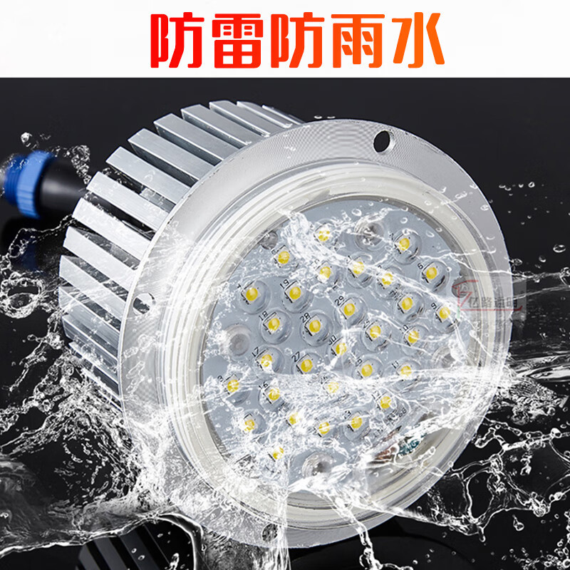 Yilu Tongming round module light source outdoor waterproof lightning protection landscape light led highlight magnolia lamp Chinese light
